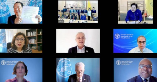 Nueva asociación para impulsar la contribución del bambú y el ratán al desarrollo sostenible