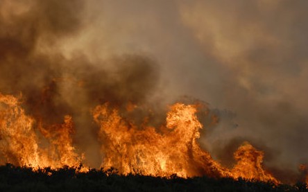 Recomendaciones para prevenir incendios forestales y de campo