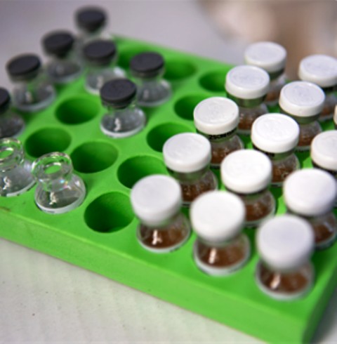 COVAX anuncia nuevo acuerdo, planes para primeras entregas