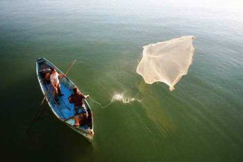 La pesca y la acuicultura son una parte fundamental de la transformación de los sistemas agroalimentarios mundiales, dice el Director General de la FAO