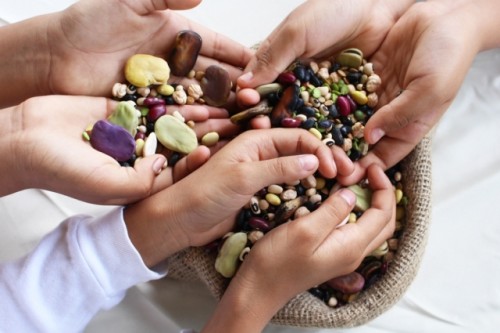 Las semillas nutritivas de la naturaleza