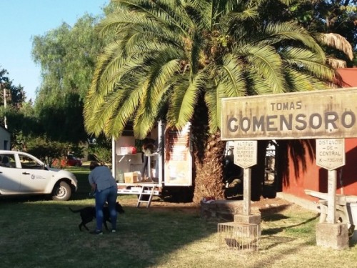 Tomás Gomensoro: Se realizó la primera jornada 2021 de castraciones e identificaciones caninas