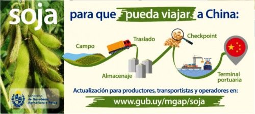 MGAP exhorta a extremar cuidados para evitar contaminación de la cosecha de soja