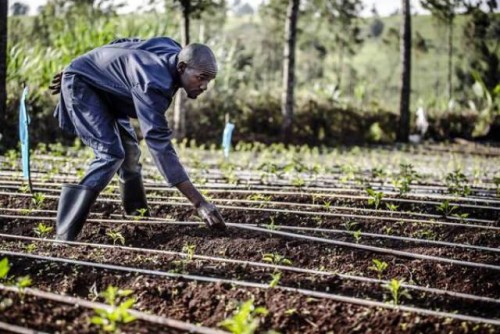 Lo que significa el agua para un agricultor, antes migrante y hoy repatriado, en Kenya