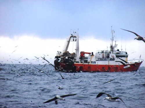 DINARA extiende vigencia de permisos de pesca