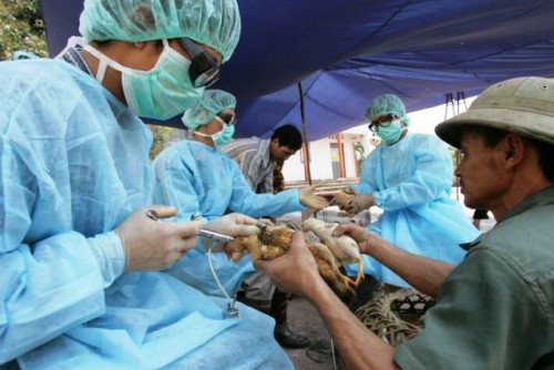 Las vacunas veterinarias protegen tanto a los seres humanos como a los animales