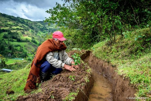Restaurar los servicios de los ecosistemas en los Andes peruanos