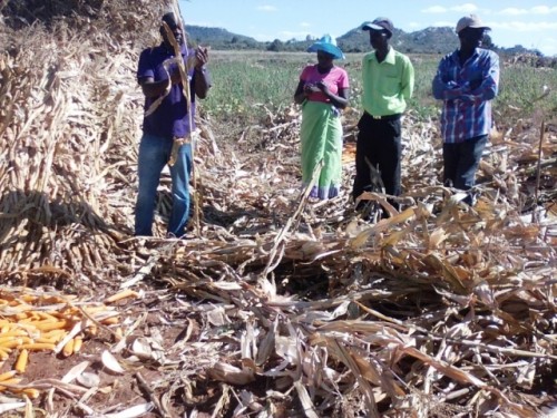 Lucha contra el hambre oculta en Zimbabwe