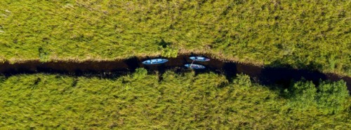 5 junio 2021 Día Mundial del Medio Ambiente