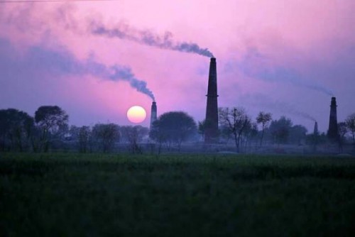 El empeoramiento de la contaminación del suelo amenaza la producción de alimentos y los ecosistemas en el futuro