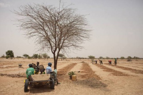 El ambicioso programa de 104 millones de dólares se centra en la degradación de la tierra en África y los países de Asia central