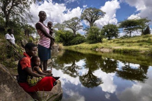 La ONU insta a una intensa restauración de la naturaleza para abordar las crisis climáticas y de biodiversidad