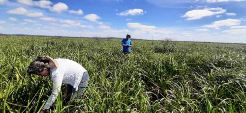 Turberas de la Laguna Negra y necesidades de conservación