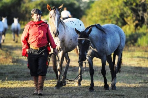 Unatra realizará una marcha a caballo el día del paro general convocado por el Pit Cnt