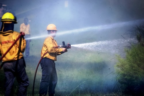 Bomberos llama a postulantes para ocupar 150 cargos zafrales