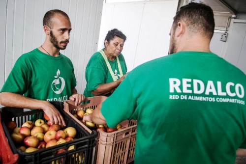 Redalco trabaja para reducir desperdicio alimentario