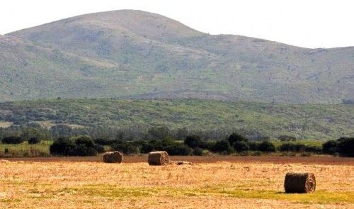 Gobierno extendió emergencia agropecuaria en tiempo y área e incorporó nuevos sectores