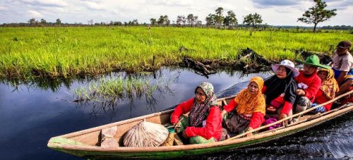 La ONU celebra la existencia de los humedales, los grandes olvidados en la crisis del cambio climático