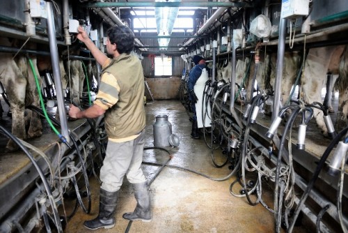 Senado vota una nueva prórroga del seguro de paro para los extrabajadores de Pili