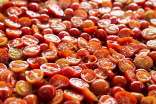 El periplo del tomate: de ser una curiosidad venenosa a un ingrediente universal