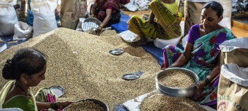 Los países más vulnerables compran menos alimentos por más dinero en la coyuntura actual