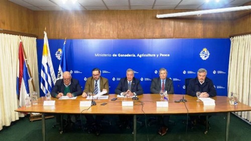 MGAP autorizó importación de carne bovina desde Brasil