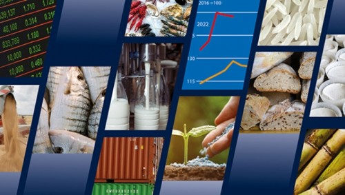 Nueva edición del informe Perspectivas alimentarias de las Naciones Unidas: los más vulnerables del mundo pagan más por menos alimentos