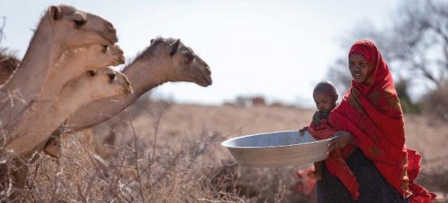Los niños del Sahel y del Cuerno de África están “a una sola enfermedad de la catástrofe
