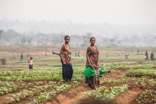 El conflicto provoca hambre aguda en la República Democrática del Congo: advierten agencias de la ONU