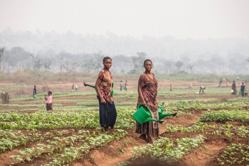 El conflicto provoca hambre aguda en la República Democrática del Congo: advierten agencias de la ONU