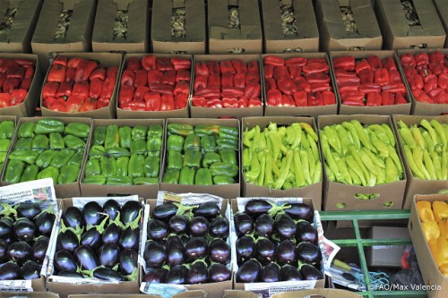 Las normas alimentarias salvan vidas