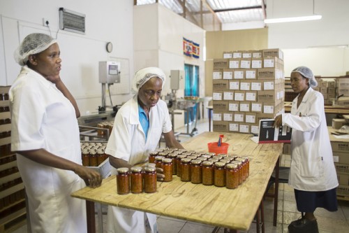 Inocuidad de los alimentos: la FAO lanza una caja de herramientas integral y práctica