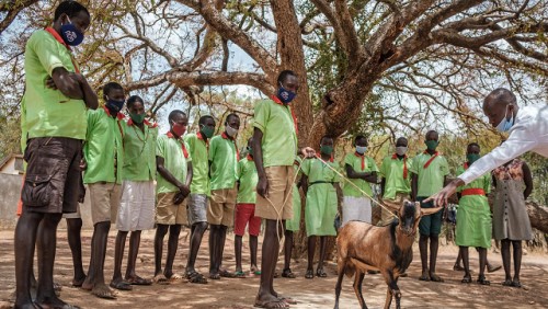 Reformar la agricultura en África para poner fin al trabajo infantil