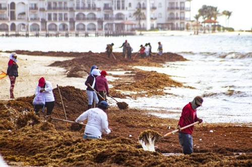 El círculo vicioso del cambio climático se agrava en América Latina y el Caribe