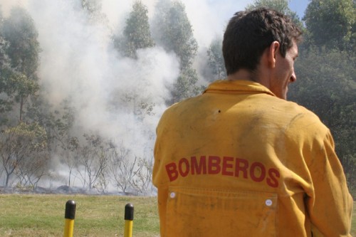 Bomberos controló incendio en depósito de madera a cielo abierto