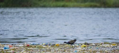 Colombia, Jamaica y Panamá se unen para combatir la contaminación urbana del plástico