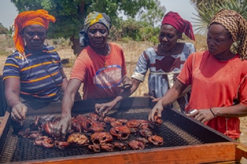 Los hornos de ahumado de pescado ayudan a los procesadores de pescado desplazados internamente en Camerún a comenzar de nuevo