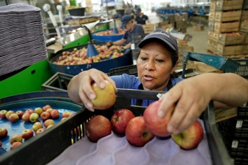 El desempleo tuvo la tercera baja consecutiva: 7,8%