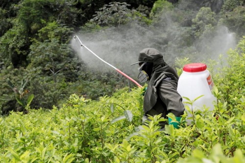 En octubre, la Unión Europea decidirá sobre la autorización del herbicida glifosato