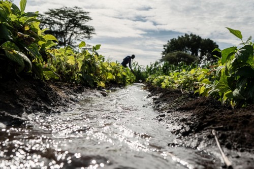 El agua potable ahorra agua