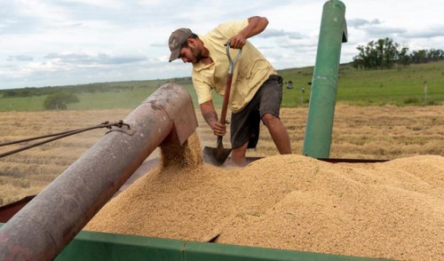 UTU recaudó más de 1.160.000 dólares por la producción de sus escuelas agrarias en 2023